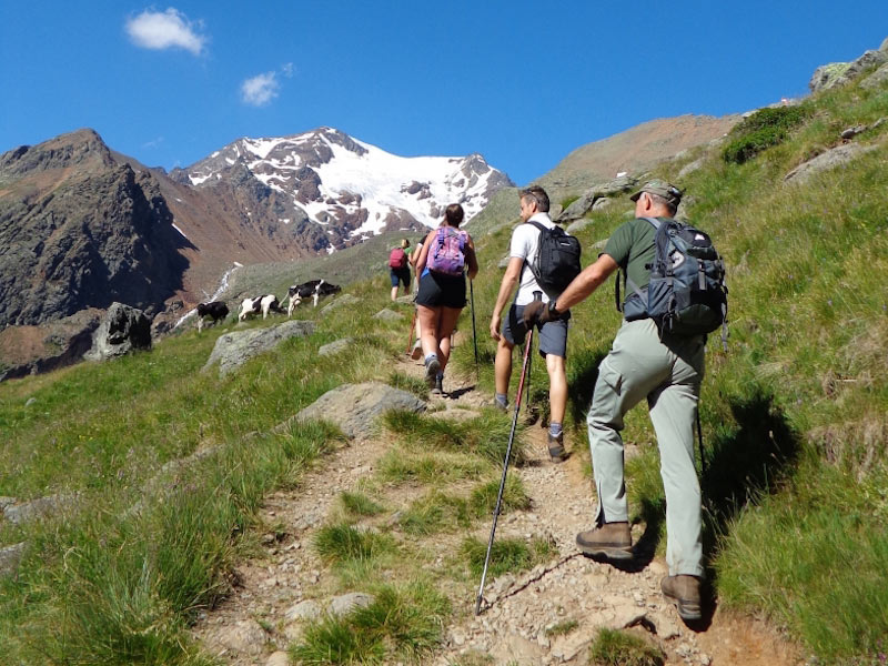 Trekking and Walks in Val di Sole