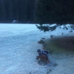 Der See Lago dei Caprioli im Winter - Hotel Val di Sole - Trentino