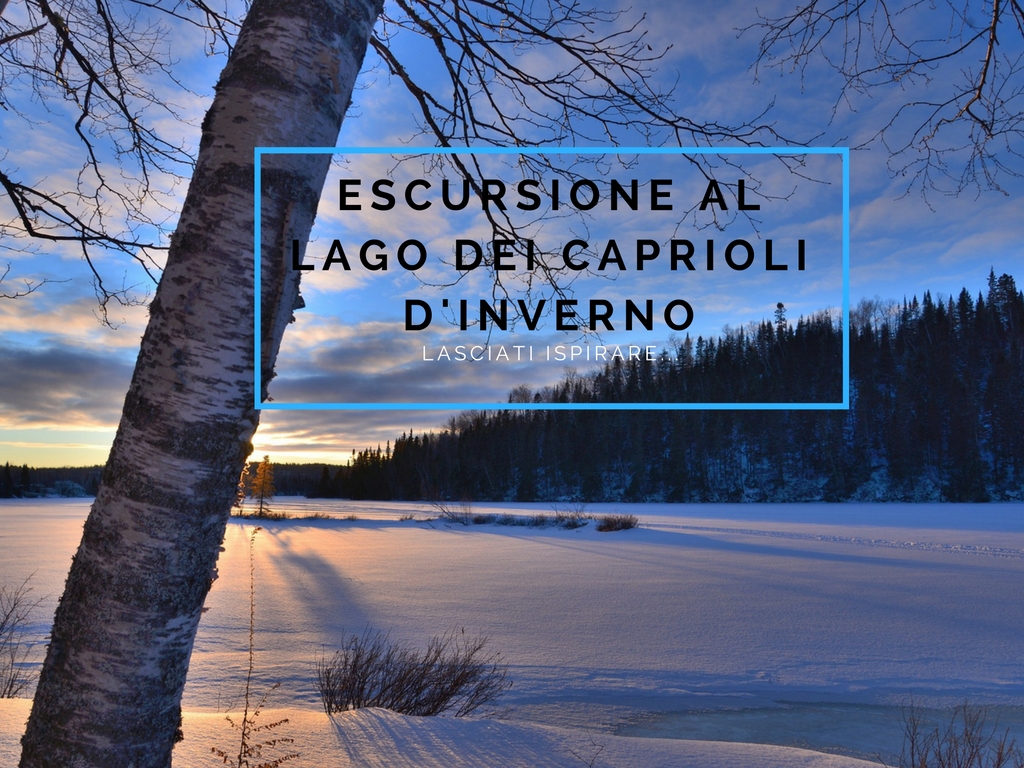 Der See Lago dei Caprioli im Winter - Hotel Val di Sole - Trentino